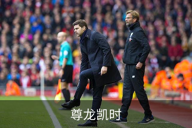 尊龙凯时